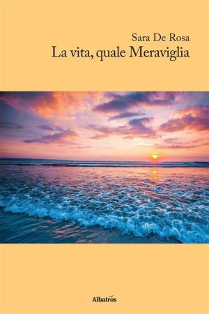 Book cover of La vita quale Meraviglia