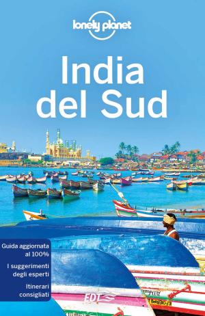 Cover of the book India del Sud by Kate Armstrong, Brett Atkinson, Carolyn Bain, Cristian Bonetto, Peter Dragicevich, Anthony Ham, Paul Harding, Trent Holden, Virginia Maxwell, Kate Morgan, Charles Rawlings, Tamara Sheward, Tom Spurling, Andy Symington, Benedict Walker, Steve Waters, Donna Wheeler