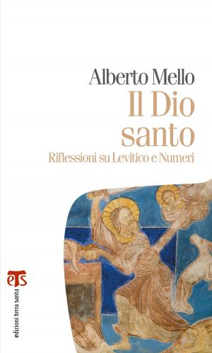 Cover of the book Il Dio santo by Marcello Badalamenti