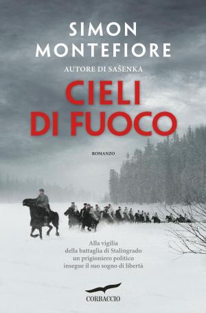 Cover of the book Cieli di fuoco by Kerstin Gier