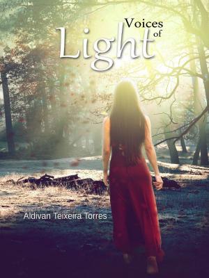 bigCover of the book Voices Of Light by 