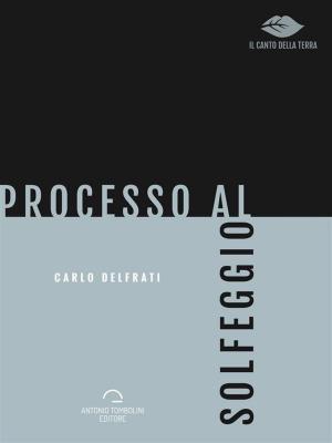 Cover of the book Processo al Solfeggio by Luca Martini