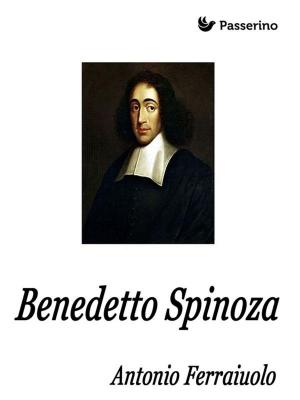 Book cover of Benedetto Spinoza