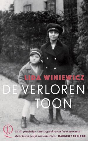 Cover of the book De verloren toon by Anneloes Timmerije