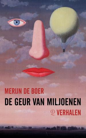 Cover of the book De geur van miljoenen by Martijn Neggers