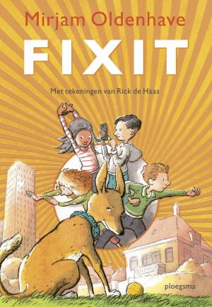 Cover of the book Fixit by Johan Fabricius