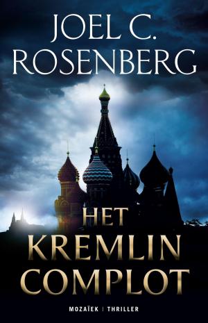 Book cover of Het Kremlin Complot