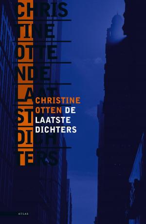 Cover of the book De laatste dichters by Pieter Frijters