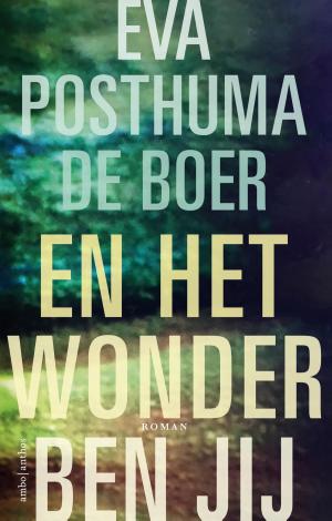 Cover of the book En het wonder ben jij by Karen Tyrrell