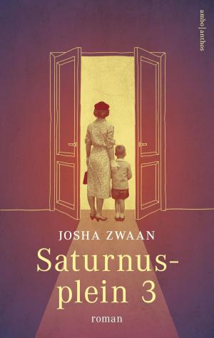 Cover of the book Saturnusplein 3 by Laurentiu M. Badea