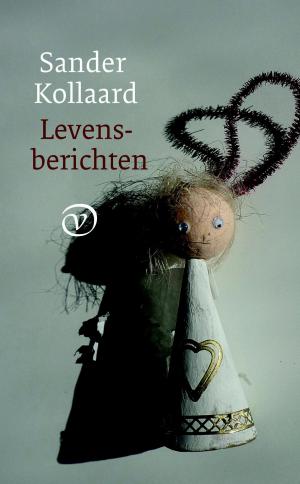 Cover of the book Levensberichten by Richard Hemker