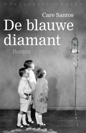 Cover of the book De blauwe diamant by Sandor Marai