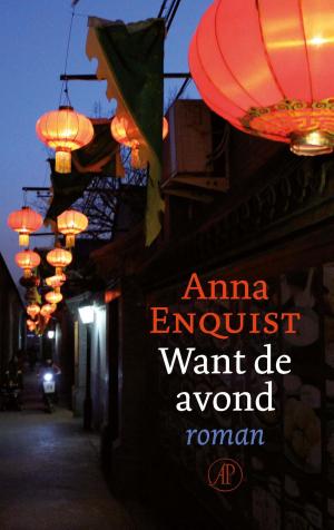Cover of the book Want de avond by Hilde Vandermeeren