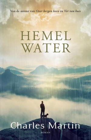 Cover of the book Hemelwater by Maarten van Immerzeel
