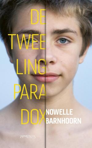 Cover of the book De tweelingparadox by Jonathan Franzen