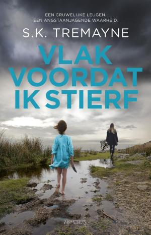 Cover of the book Vlak voordat ik stierf by Ap Dijksterhuis