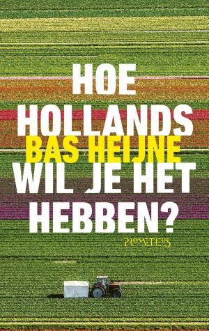 Cover of the book Hoe Hollands wil je het hebben? by Saskia De Coster