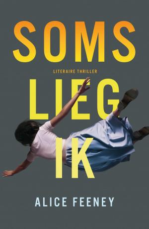 Cover of the book Soms lieg ik by Tijn Touber