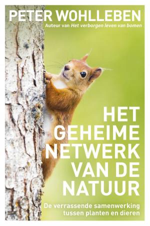 Cover of the book Het geheime netwerk van de natuur by Carol Drinkwater