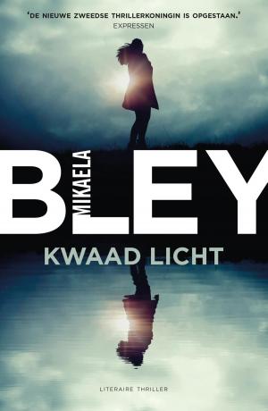 Cover of the book Kwaad licht by Tijn Touber