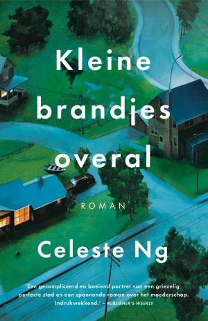 Book cover of Kleine brandjes overal