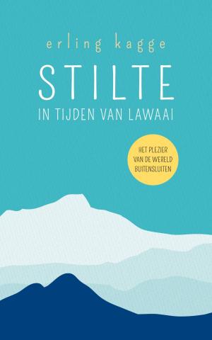 Cover of the book Stilte in tijden van lawaai by Sheryl Sandberg