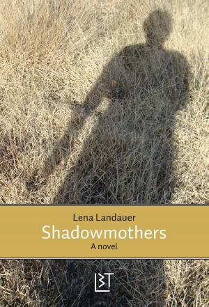Cover of the book Shadowmothers by Rian Visser