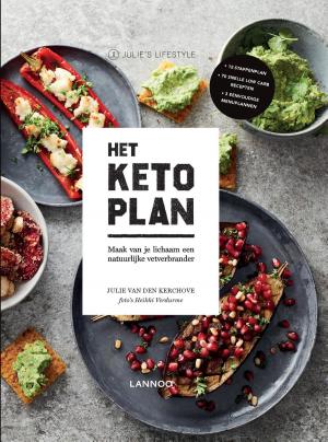 bigCover of the book Het Keto-plan by 