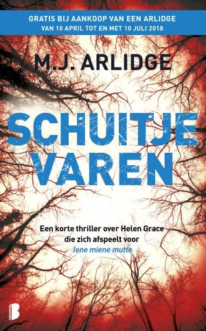 Cover of the book Schuitje varen by Hubert Lampo