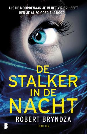 Book cover of De stalker in de nacht