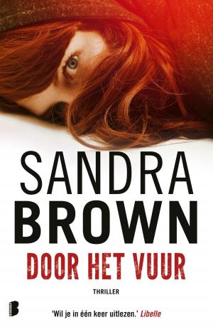 Cover of the book Door het vuur by Sarah Naughton