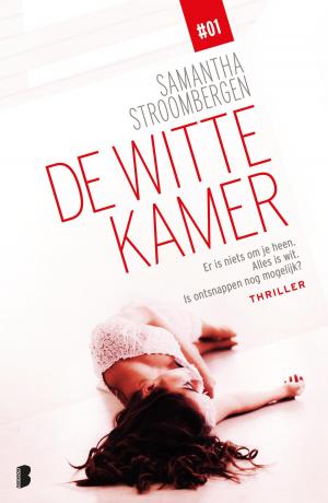 Book cover of De witte kamer