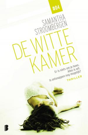 Cover of the book De witte kamer by Michael Scott