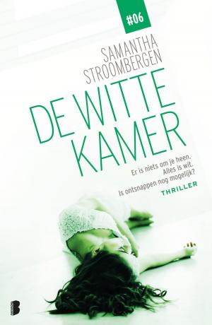 Cover of the book De witte kamer by Terry Pratchett