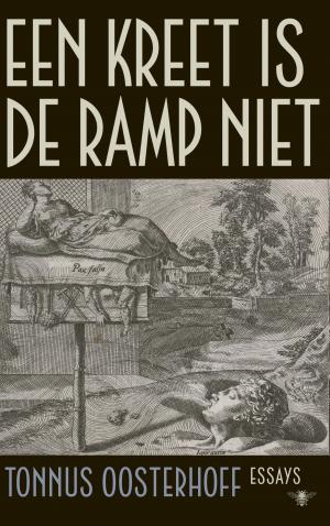 Cover of the book Een kreet is de ramp niet by Manon Uphoff