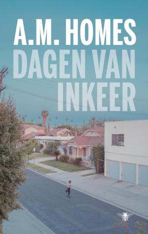 Cover of the book Dagen van inkeer by Harry Mulisch