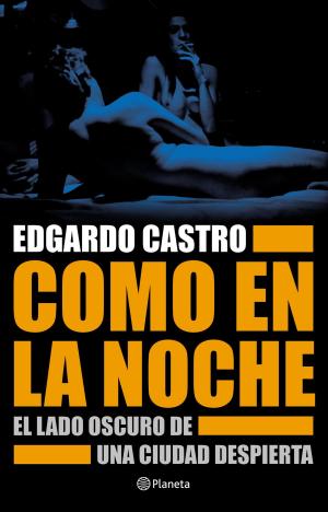 Cover of the book Como en la noche by Bebi Fernández