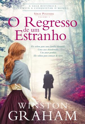 Cover of the book O Regresso de Um Estranho by Lesley Pearse