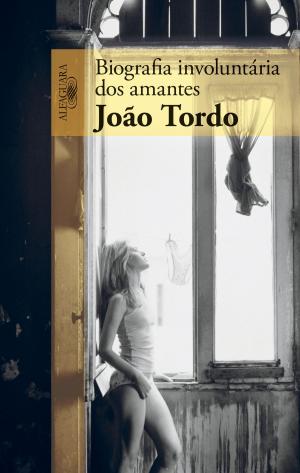 Cover of the book Biografia involuntária dos amantes by Afonso Cruz