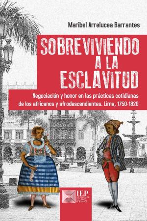 Book cover of Sobreviviendo a la esclavitud