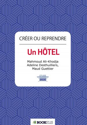 Cover of the book Créer ou reprendre un hôtel by Emmanuel Bove