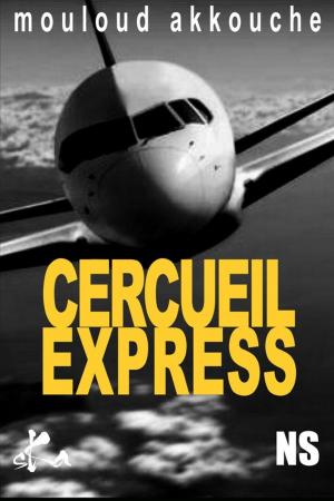 Cover of the book Cercueil express by Dominique Sylvain