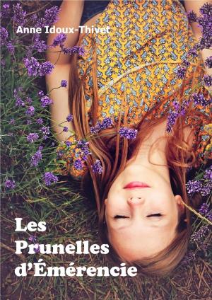 Cover of the book Les Prunelles d'Émérencie by Grégory Gayet