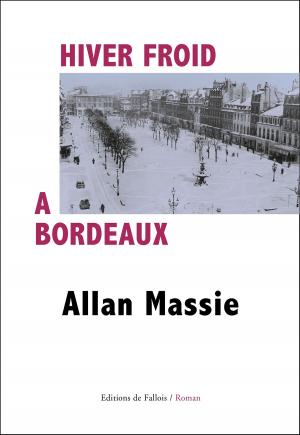 Book cover of Hiver froid à Bordeaux