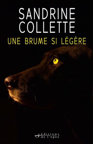 Cover of the book Une brume si légère by Jérôme Loubry