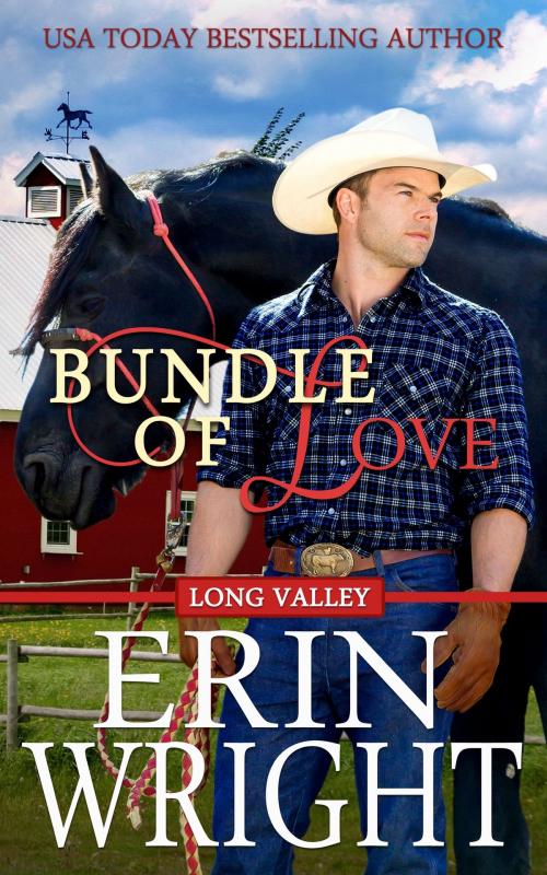 Cover of the book Bundle of Love by Erin Wright, Wright's Romance Reads