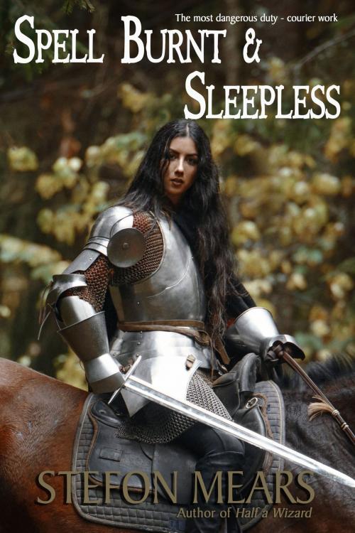 Cover of the book Spell Burnt and Sleepless by Stefon Mears, Thousand Faces Publishing