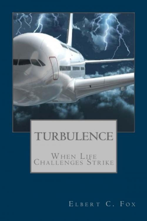 Cover of the book TURBULENCE by Elbert C. Fox, Pro Type