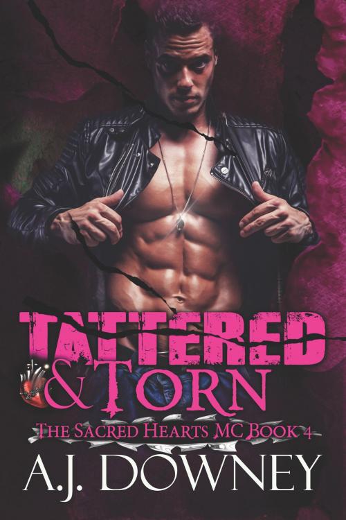 Cover of the book Tattered & Torn by A.J. Downey, Second Circle Press