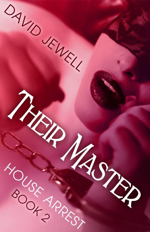 Cover of the book Their Master by David Jewell, Sizzler Editions
